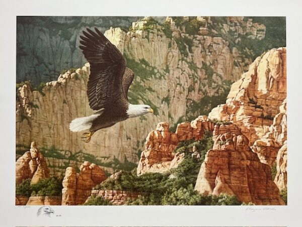 Born Free - Bald Eagle - Remarqued (Excellent Condition)