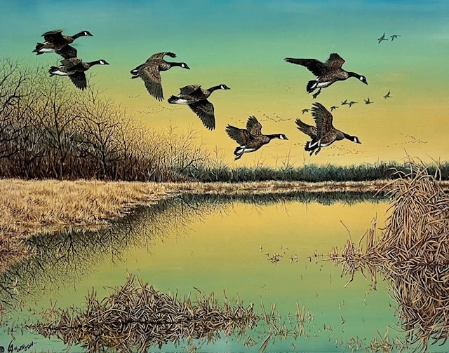 Iowa Serenity IV - Canada Geese - Excellent Condition