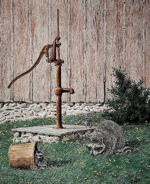 Iowa Serenity V - Raccoons - Excellent Condition