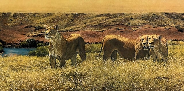 Look Who's Coming to Dinner - Lions - Excellent Condition