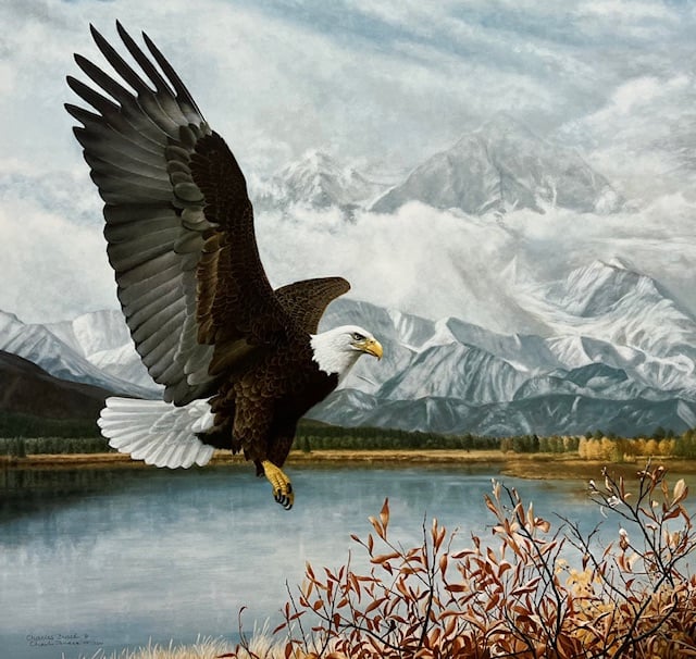 Wings Over America - Bald Eagle - Good Condition