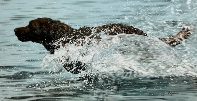 Making Waves - Chocolate Lab - Excellent Condition