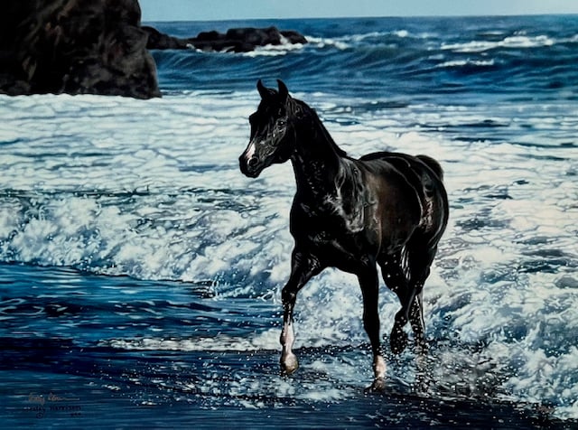 Sea Spirit - Horse - Excellent Condition