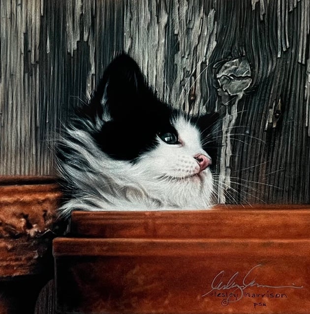 Taking a Break - Good Condition