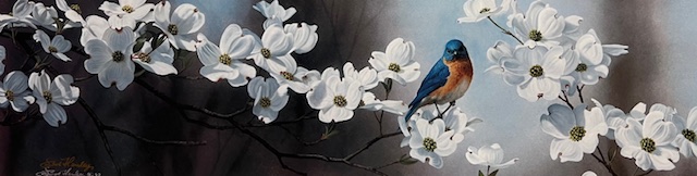 Spring Song Bluebird - Excellent Condition