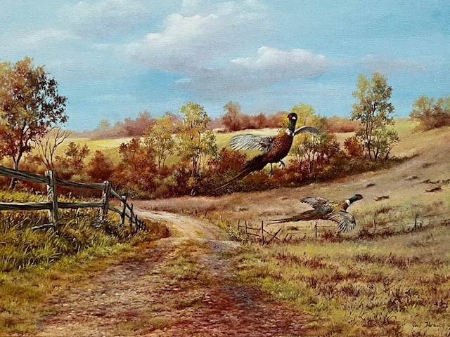 Freedom to Fly - Pheasants - Excellent Condition