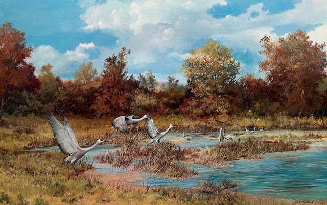 Sandhill Cranes - Excellent Condition