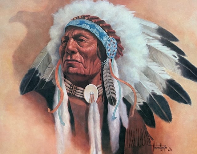 Grey Eagle - Excellent Condition