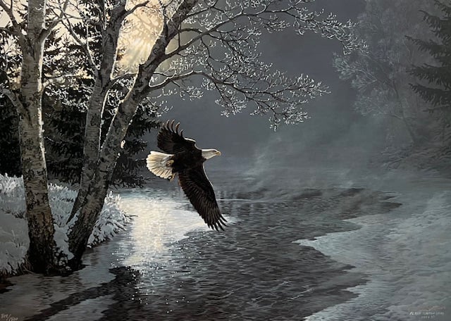 Awakening - Bald Eagle - Excellent Condition